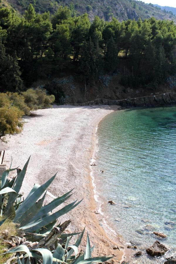 Apartments By The Sea Komiza, Vis - 2429 Kültér fotó